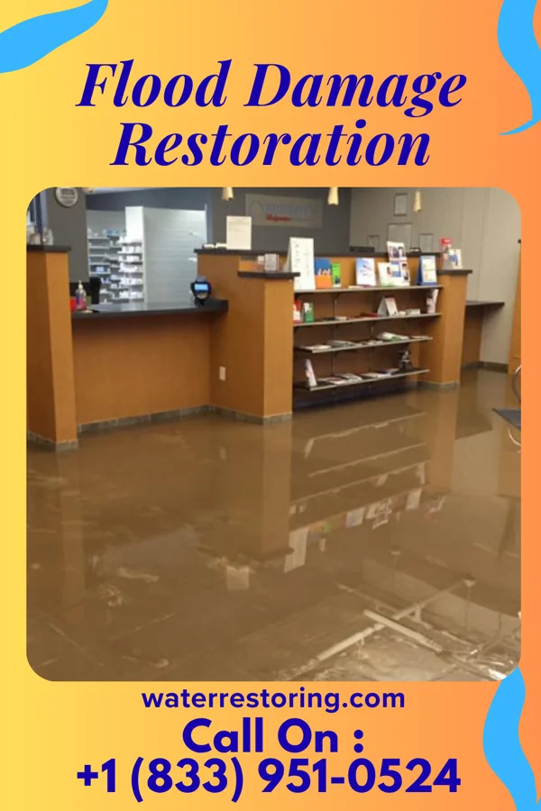 Flood Damage Restoration in Hilda, SC