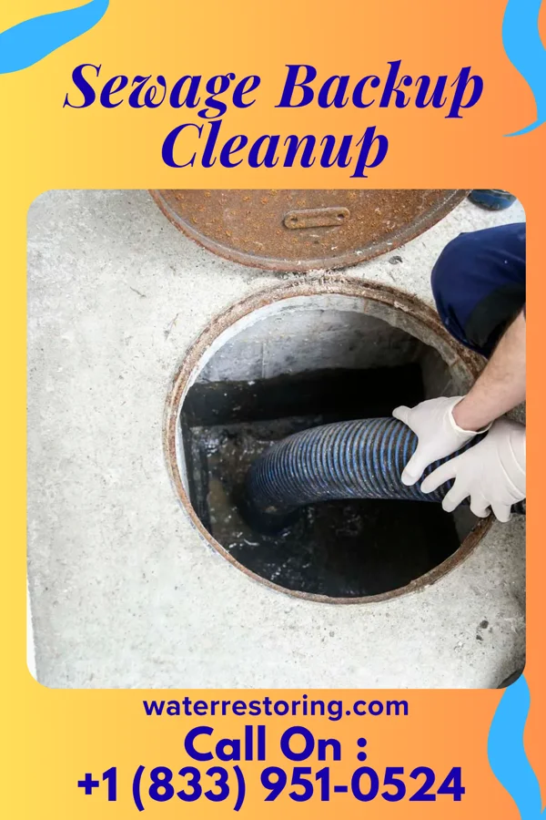 Sewage Backup Cleanup in Hilda, SC
